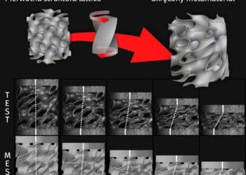 Adaptacyjne struktury absorbujące energię mechaniczną