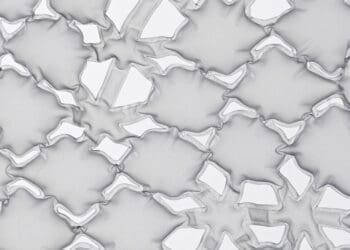 Adaptacyjne struktury ochronne