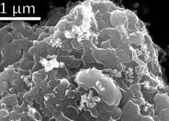 Arkusze Grafenu Otrzymane z Odpadów