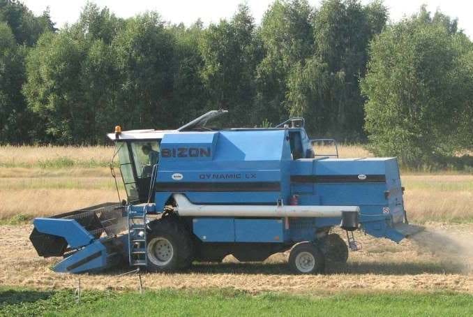 Bizon Dynamic Z156