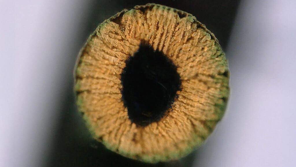 Druk 3D metali i ceramiki z hydrożelu