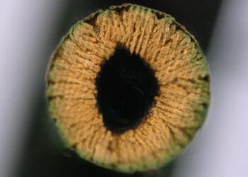 Druk 3D metali i ceramiki z hydrożelu