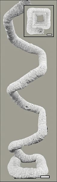 Druk 3D niepodpartych struktur budowlanych