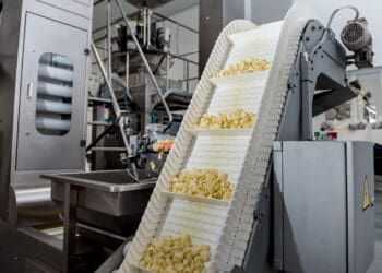 Maszyny dla przetwórstwa spożywczego: projektowanie, wymagania, przepisy