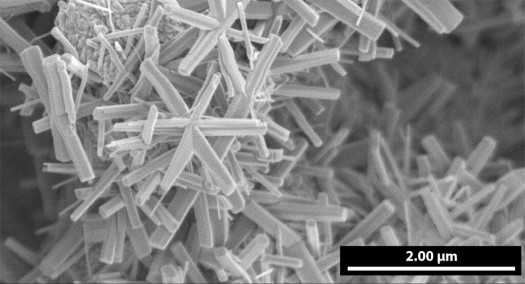 Gwiaździste nanostruktury wodorotlenku wanadu pod elektronowym mikroskopem skaningowym