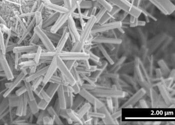 Gwiaździste nanostruktury wodorotlenku wanadu pod elektronowym mikroskopem skaningowym