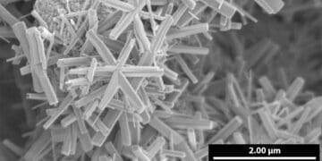 Gwiaździste nanostruktury wodorotlenku wanadu pod elektronowym mikroskopem skaningowym