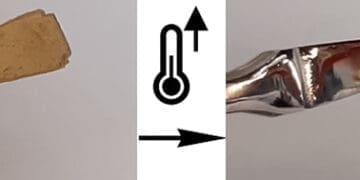 zachowanie kompleksomeró pod wpływem temperatury