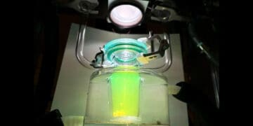 Polimer przewodzący alternatywą dla platyny