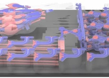 Precyzyjny Druk Wielomateriałowy Inkjet