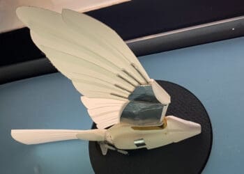robotyczna replika pustułki australijskiej