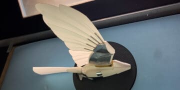robotyczna replika pustułki australijskiej
