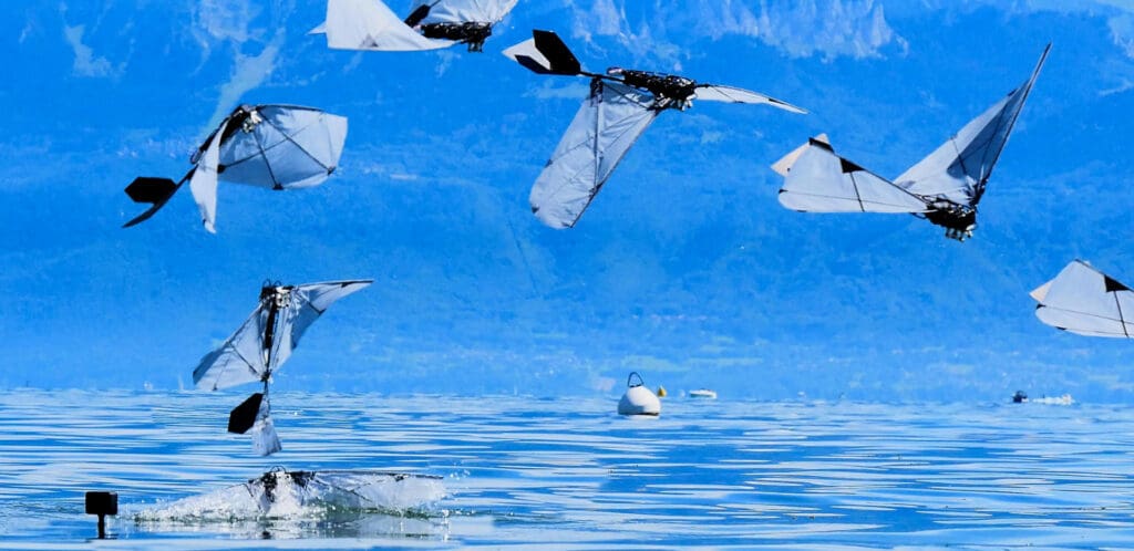 fazy lotu robota FAAV (flapping-wing aerial-aquatic vehicle)