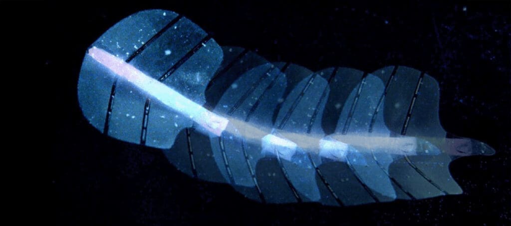 Sztuczne mięśnie aktywowane ultradźwiękowo