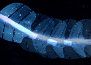 Sztuczne mięśnie aktywowane ultradźwiękowo