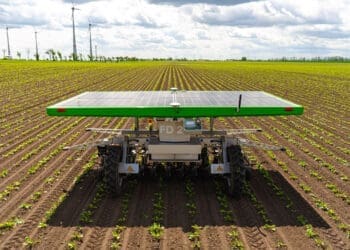 Zrobotyzowane pielenie zamiast herbicydów