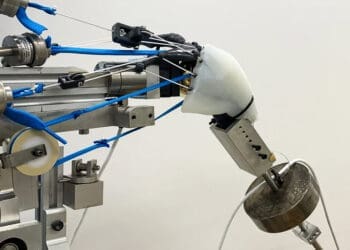 robotyczne ramię z&nbsp;przestrzennym modelem mięśnia naramiennego