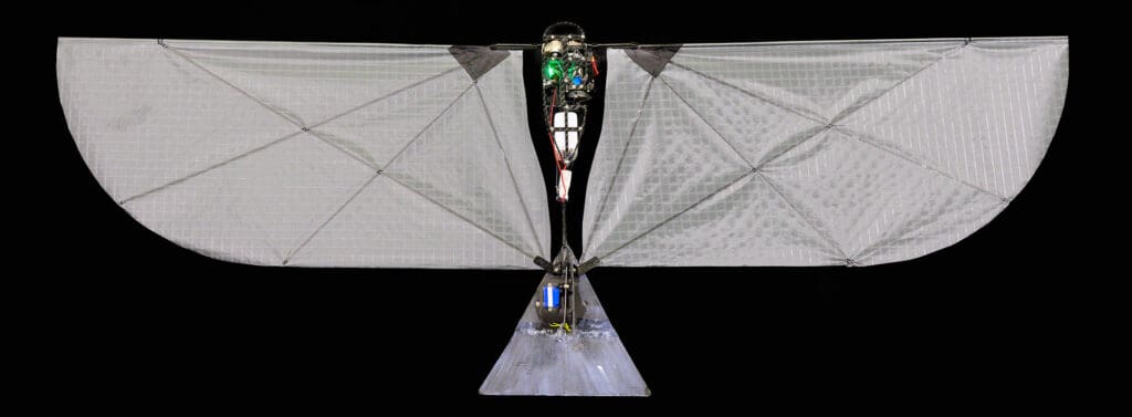 Budowa Robota FAAV Flapping Wing Aerial Aquatic Vehicle