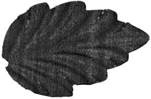 Siatka MESH