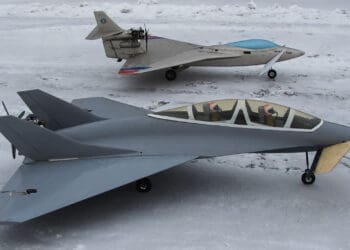 Skrzydełko Margańskiego