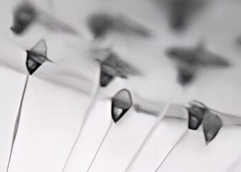 syntetyczna pajęczyna